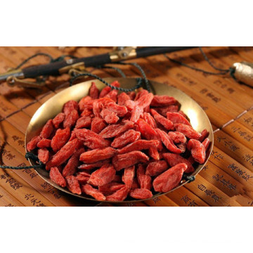 Dried Goji Berry Fruit